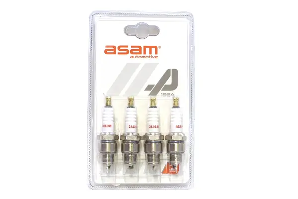 ASAM AUTOMOTIVE 01119