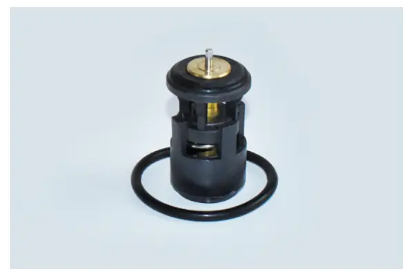 ASAM AUTOMOTIVE 73343