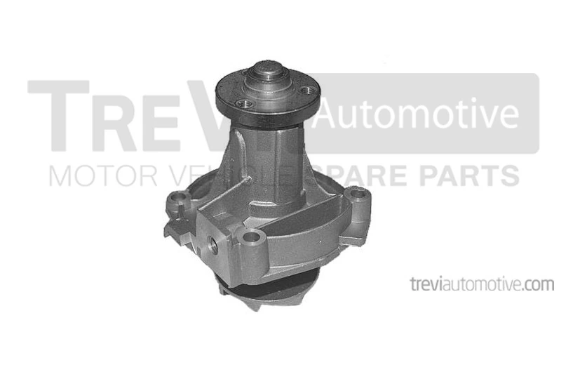 TREVI AUTOMOTIVE TP675