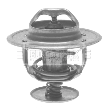 BORG & BECK BTS154.83