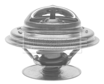 BORG & BECK BTS173.87