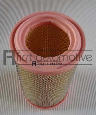 1A FIRST AUTOMOTIVE A60216