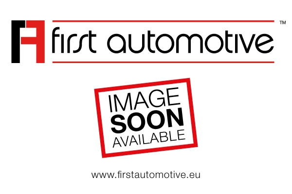 1A FIRST AUTOMOTIVE E50116
