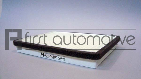 1A FIRST AUTOMOTIVE C30250