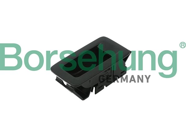 Borsehung B18624