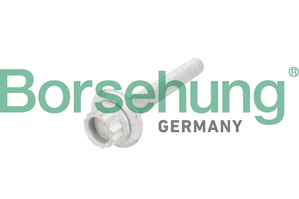 Borsehung B10654