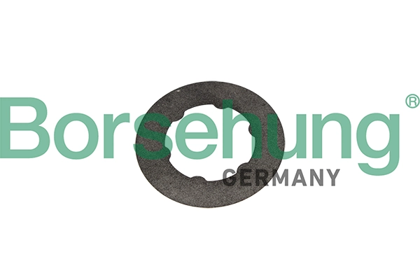 Borsehung B10650