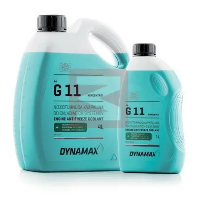 DYNAMAX 500019