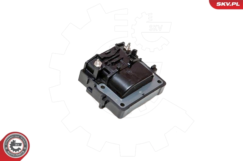 ESEN SKV 03SKV063