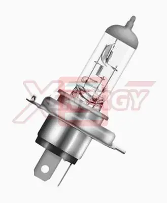 AP XENERGY XE1101