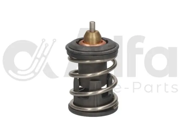 Alfa e-Parts AF10553