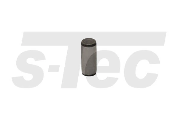 S-TEC SP04043