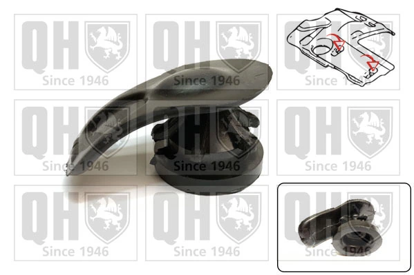 QUINTON HAZELL EM4861