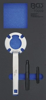 BGS 70009