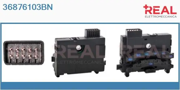 REAL 36876103BN