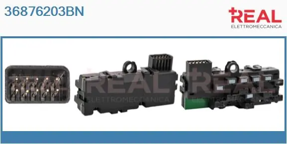 REAL 36876203BN