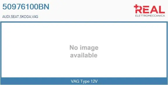 REAL 50976100BN