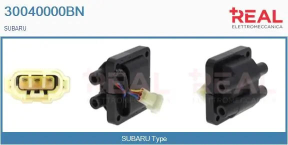 REAL 30040000BN