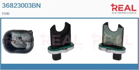 REAL 36823003BN