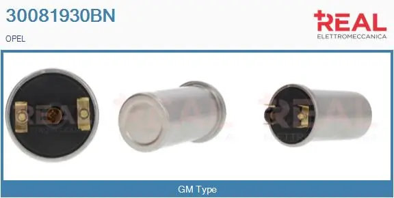 REAL 30081930BN
