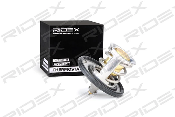 RIDEX 316T0065