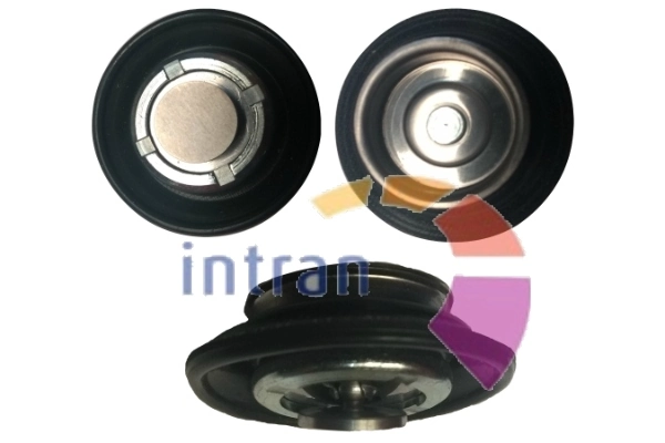 Intran Flotamex SD21026