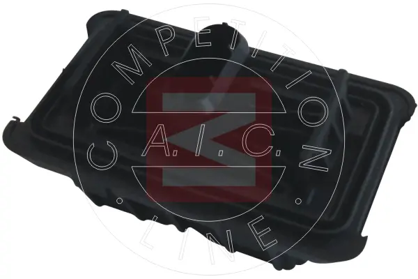 AIC 55713