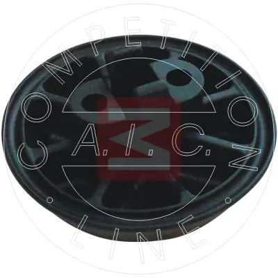 AIC 55981