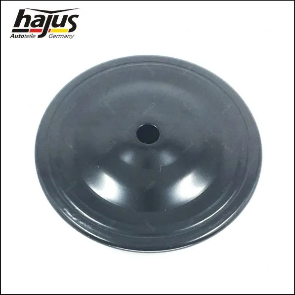 hajus Autoteile 4121001