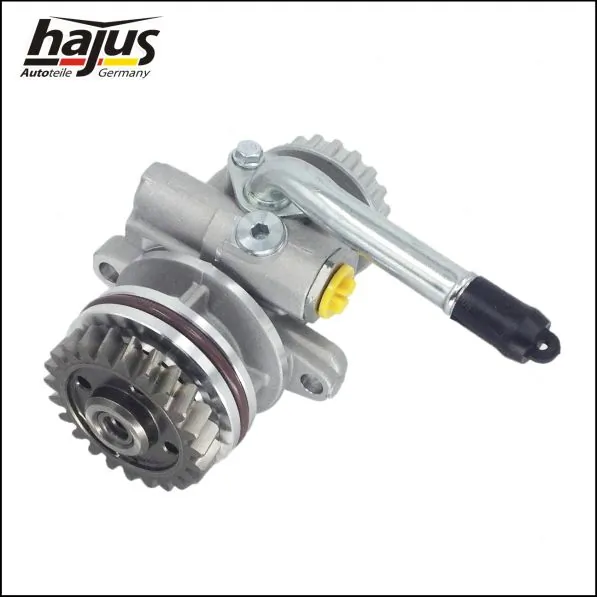 hajus Autoteile 4221019