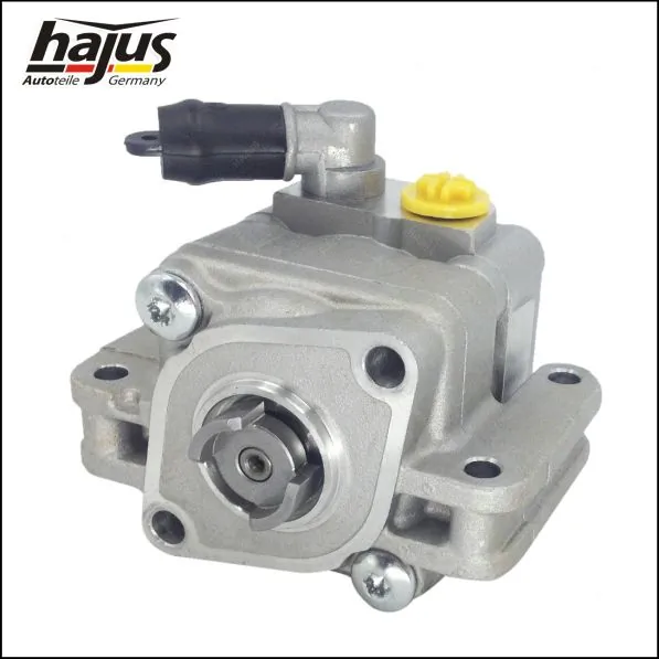 hajus Autoteile 4221041