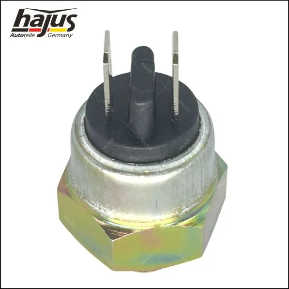 hajus Autoteile 9191338