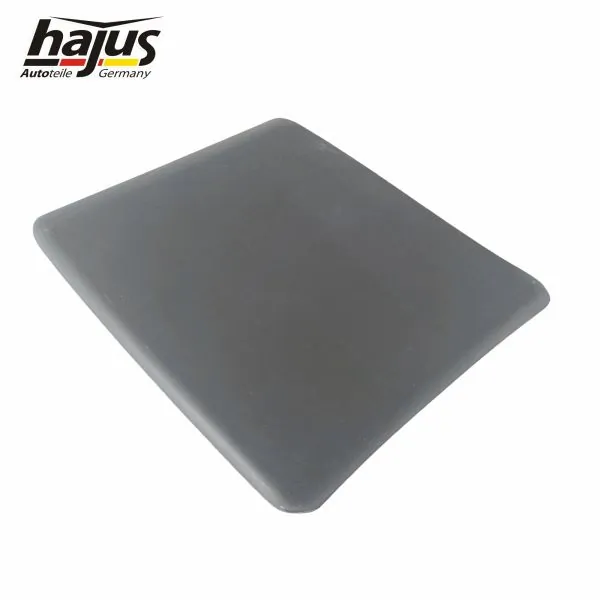 hajus Autoteile 8571123