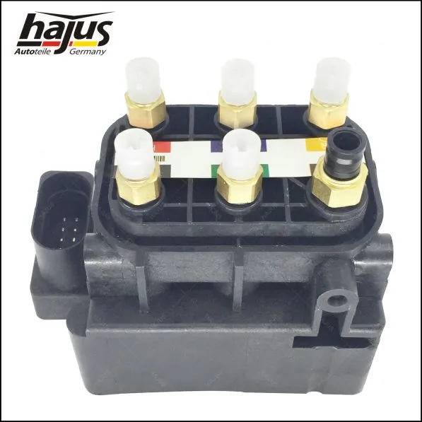 hajus Autoteile 4121062