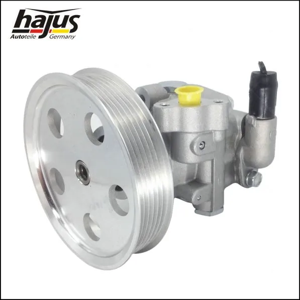 hajus Autoteile 4221024