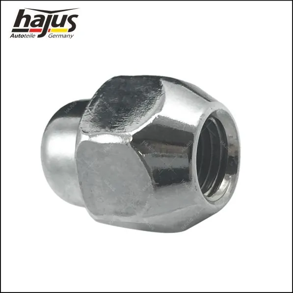 hajus Autoteile 6011029