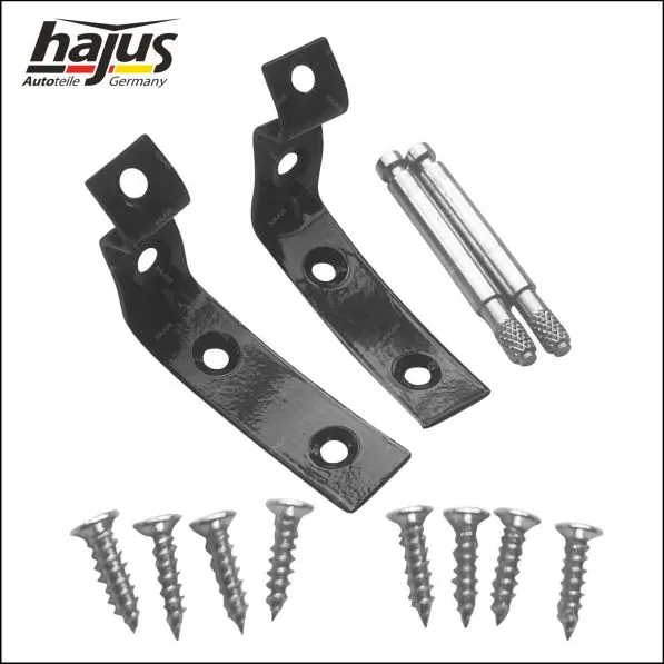 hajus Autoteile 8571099