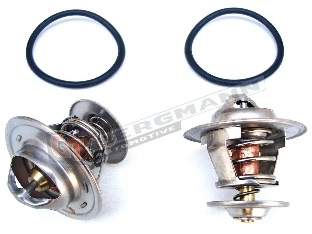 GT-BERGMANN GT17-005