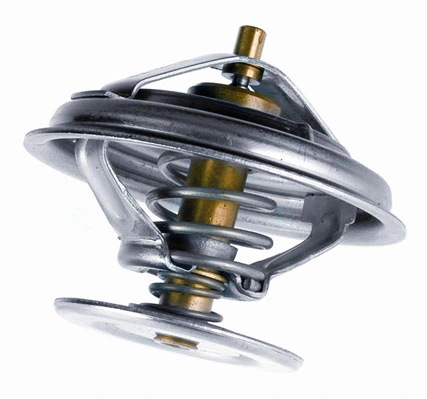 BorgWarner (Wahler) 4088.87D
