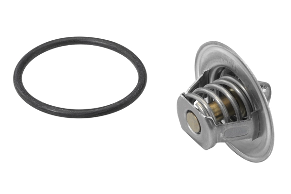 BorgWarner (Wahler) 3141.87D