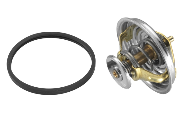 BorgWarner (Wahler) 4147.80D