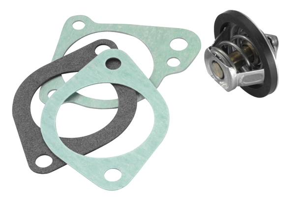 BorgWarner (Wahler) 3021.88D50