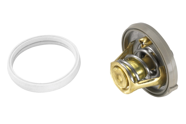 BorgWarner (Wahler) 410262.91D