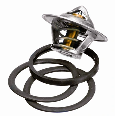 BorgWarner (Wahler) 3136.88D50