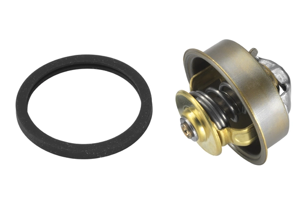 BorgWarner (Wahler) 4089.87D