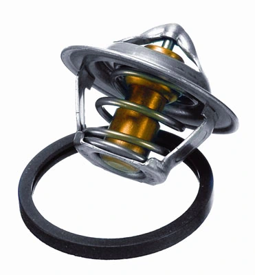 BorgWarner (Wahler) 3017.92D2