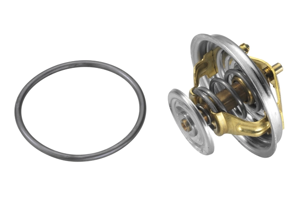 BorgWarner (Wahler) 4274.87D