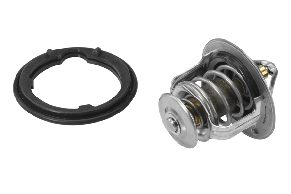 BorgWarner (Wahler) 410224.78D