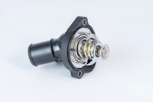 BorgWarner (Wahler) 411886.82D